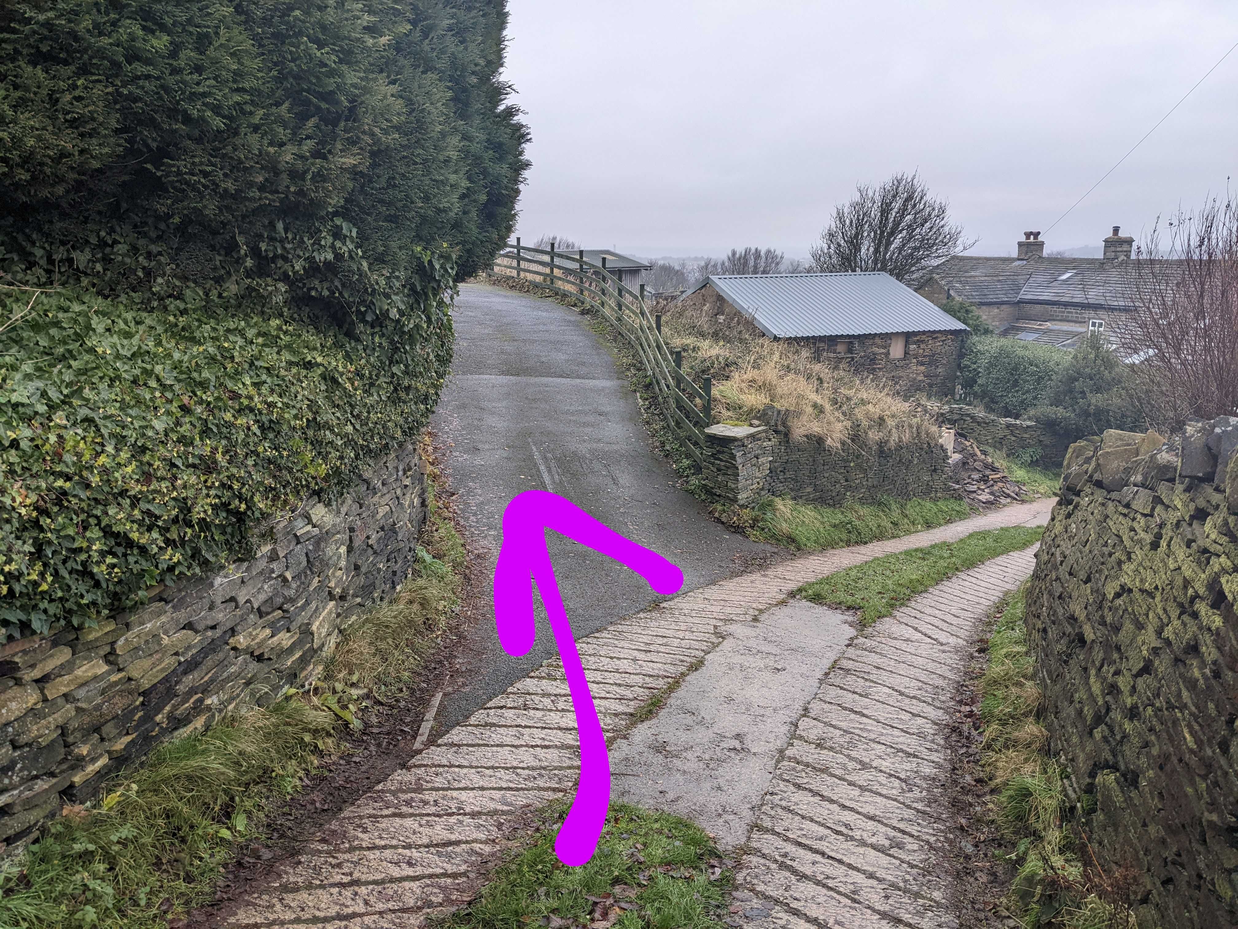 Upper Prospect Driveway